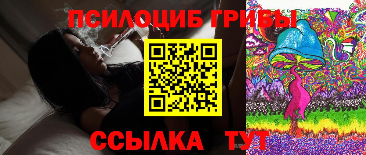 Череповец  Псилоцибиновые грибы Magic Shrooms  Вход с VPN 