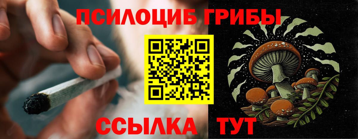 Псилоцибиновые грибы мухоморы Череповец